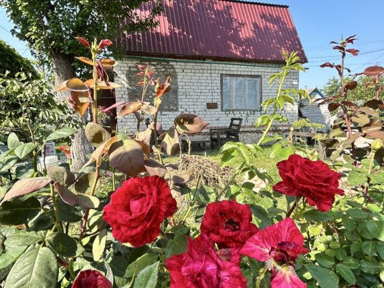 Продаж дачного будинку з ділянкою. Киїнка Чернігів