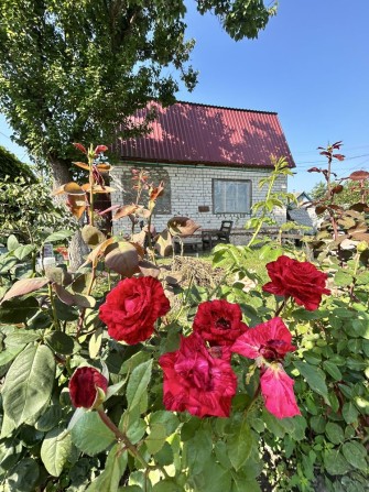 Продаж дачного будинку з ділянкою. Киїнка - фото 1