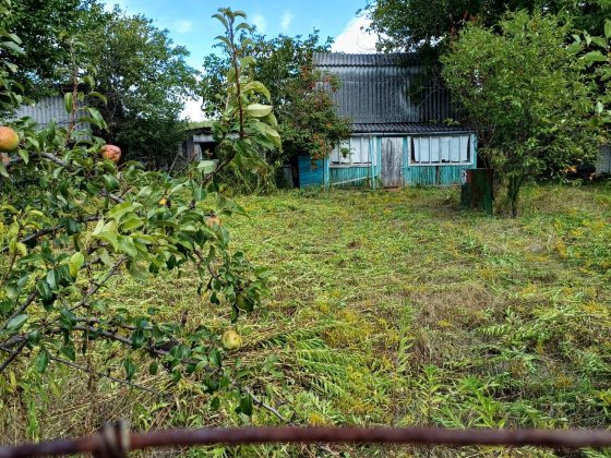 Продам дачу в Березанці. Чернігів