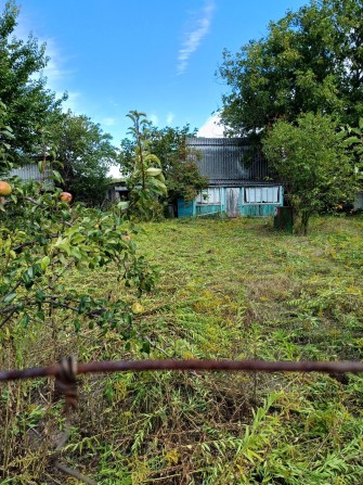 Продам дачу в Березанці. - фото 1