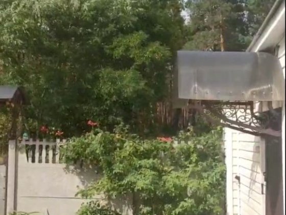 Комн.ЖенщинеЛЕСНАЯ без хозяина