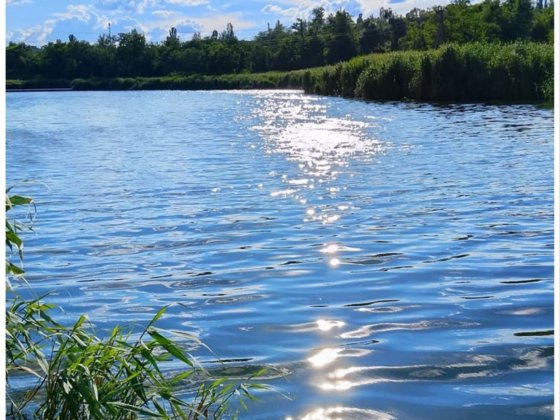 Продаж будинку в с Комарів Вінниця