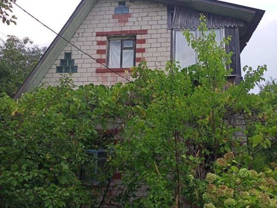 Продаж дачі поруч з містом СТ "Снов'янка" (Березанка) Чернигов