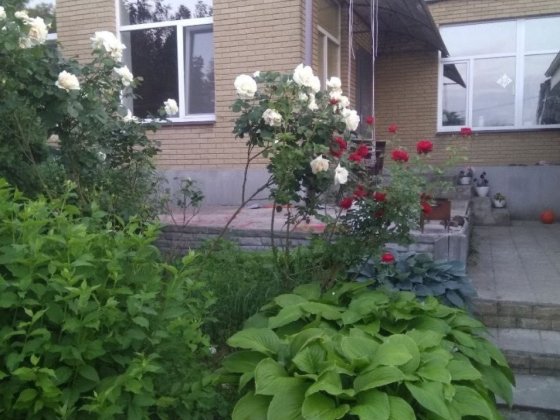 Продам будинок 134 м.кв Дніпро
