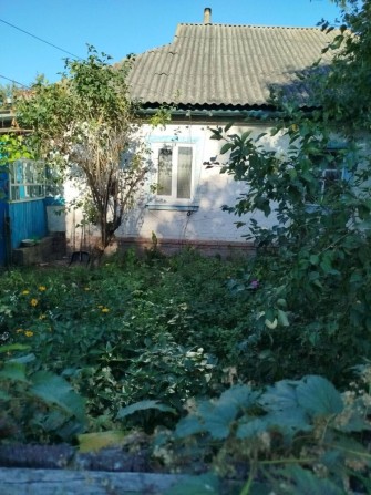Продаж окремого будинку в смт Михайло-Коцюбинське - фото 1