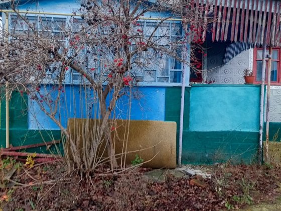Продам будинок в Дерибчин Житомир