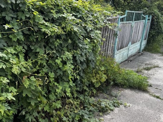 Продам фасадну ділянку с частиною будинка Житомир