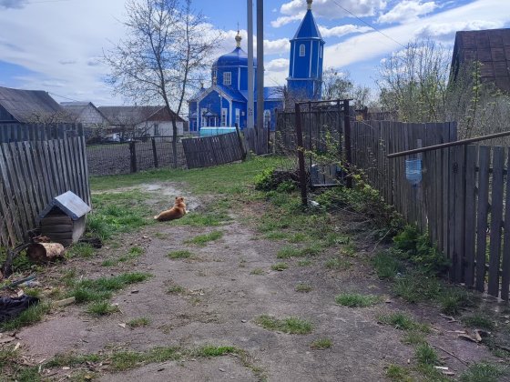 Продам хату в центрі села Левків Житомир