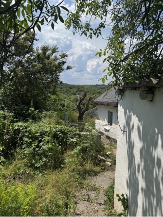 Продаж будинку в Діївці - фото 1