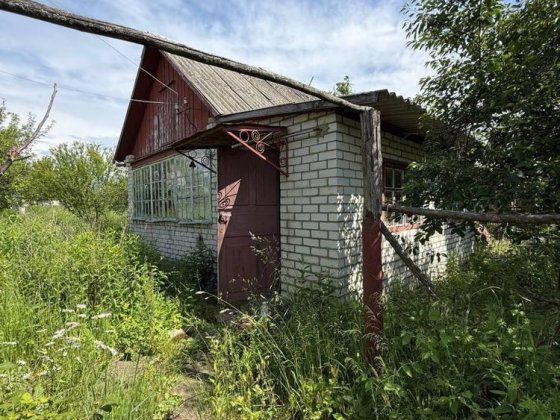 Продам дачу в Тетерівському масиві (Букі) 27 км від Житомира Житомир