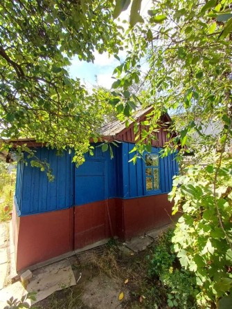Дача в СТ Електрон - фото 1