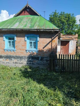 Продам будинок у Ведмежому Вушці - фото 1