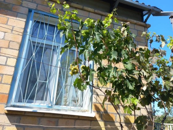 Продам дачу в м.Запоріжжя,за с.Підпорожнє Запоріжжя