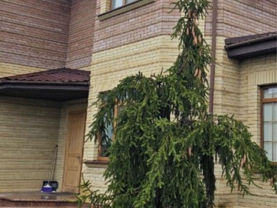 Продаж елітноі нерухомості Кропивницкий