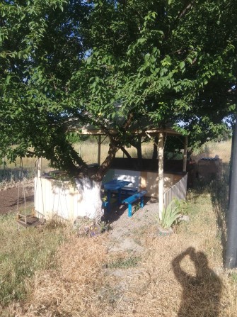 Породам дачу в городе - фото 1