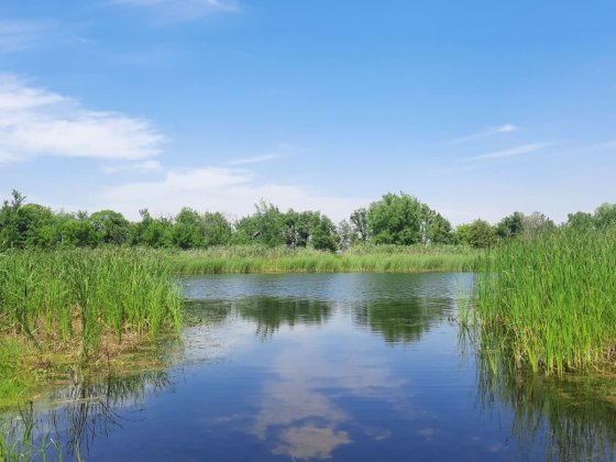 продам будинок в с.Йосипівка Днепр