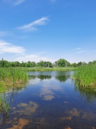 продам будинок в с.Йосипівка - фото 1