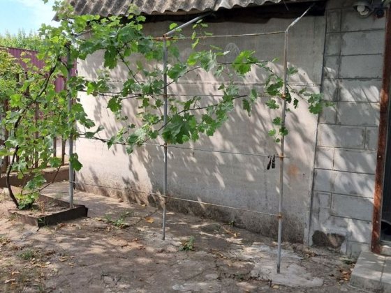 Дача с.Бабурка участок дом Запоріжжя