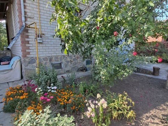 Продаж будинку-дачі, Великий Луг, 131 м², 6 соток Запоріжжя
