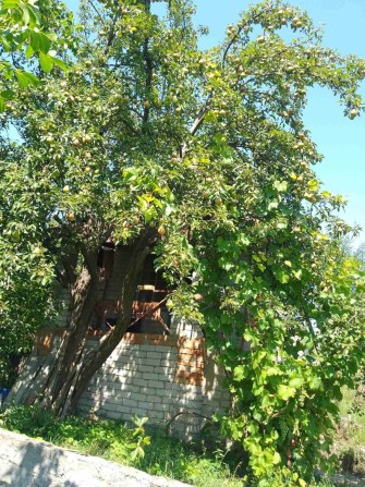 Продам дачу, Ігрень, Дніпро - фото 1
