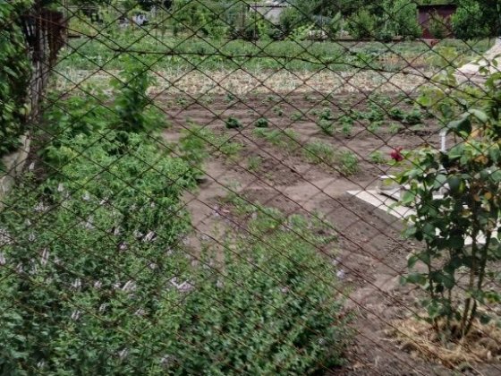Продам дачу в кооперативе Парус Запоріжжя