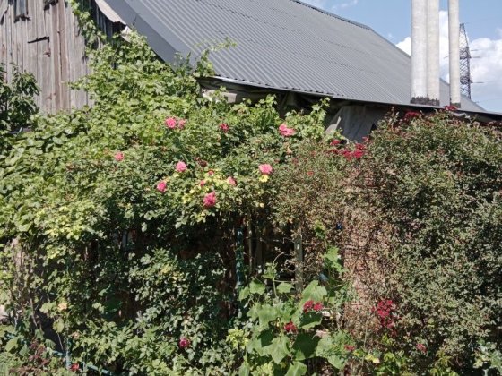 Продам будинок в центрі міста. Запоріжжя