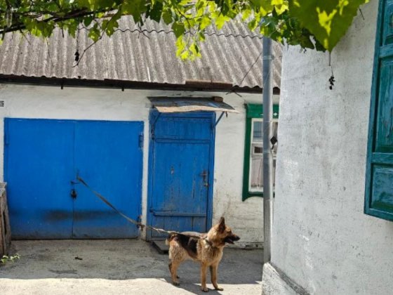 Лівий берег Анд р-н Клинчик дім  на два входа 43000 $ТОРГ Днепр