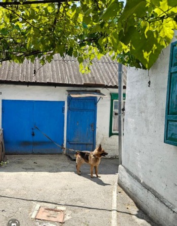 Лівий берег Анд р-н Клинчик дім  на два входа 43000 $ТОРГ - фото 1
