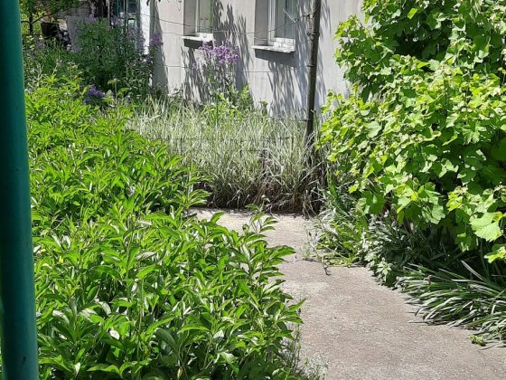 Продам уютный дом в 1 Диевке Дніпро