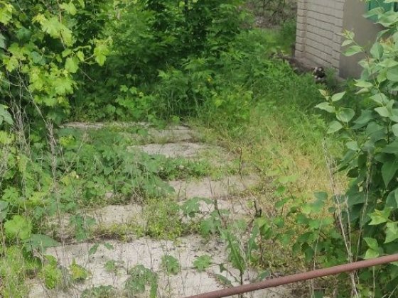 Продам дачу район сухачевки Днепр