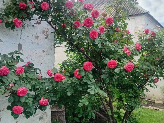 Продам будинок на ж.м.Перемога,6 Дніпро