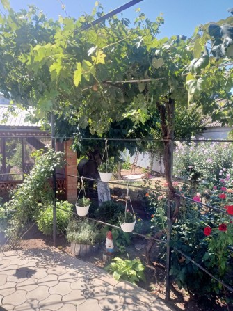 Продаж будинку в Соляних - фото 1