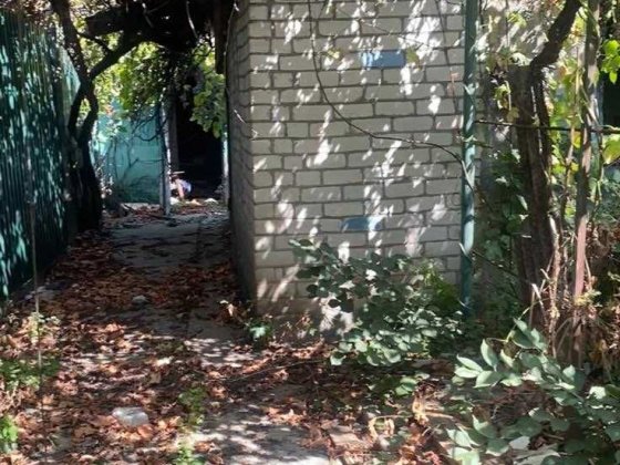 Домик под реконструкцию Грушевского, 11000 Одеса