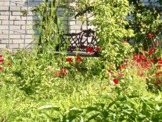 Продам дом в Черноморке, ул. Согласия Одесса