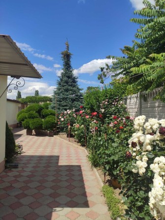 Продаю добротний будинок з ремонтом в Корабел. р-ні,зуп.Григораша(Кутузова)Держпрограми+ - фото 1