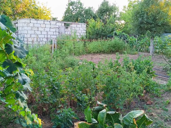 Продається дачний участок 4 соток із коробкою під будинок Миколаїв