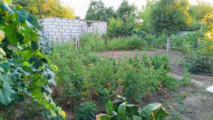 Продається дачний участок 4 соток із коробкою під будинок - фото 1