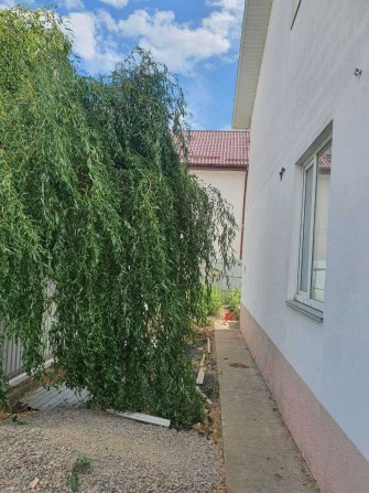 Продам дом в Червоном хуторе - фото 1