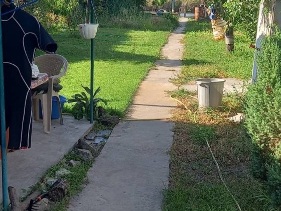 Аренда Днепр дома-дачи со своим берегом можно жить зимой + только сч света Самаровка садове товарист