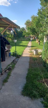 Аренда Днепр дома-дачи со своим берегом можно жить зимой + только сч света Самаровка садове товарист - фото 1