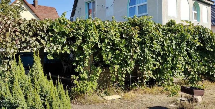 Оренда будинку СТ" Острів" на Дніпрі (3-й шлюз),с.Вишеньки - фото 1