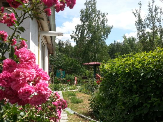 БЕЗ ШКІДЛИВИХ ЗВИЧОК!      Частина дачі (комфортна студія), опалення від інвертора Глеваха