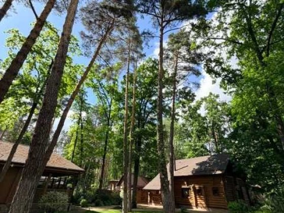 Довгострокова аренда будинку для цілорічного прожівання в затішному місці в лісовій зоні Лебедевка