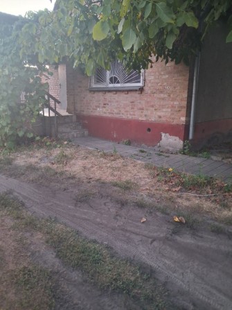 Здам будинок в с. Хотянівка Вишгородського району - фото 1