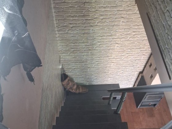 Здам будинок від власника для ОДНІЄЇ людини!!! Бровари