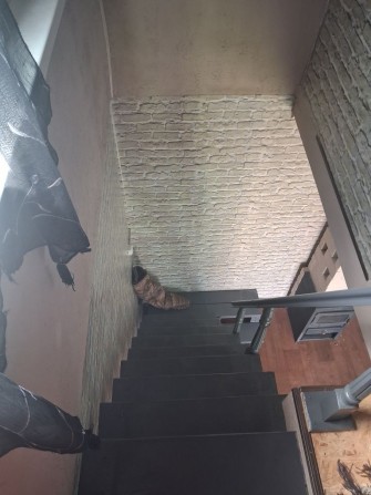 Здам будинок від власника для ОДНІЄЇ людини!!! - фото 1
