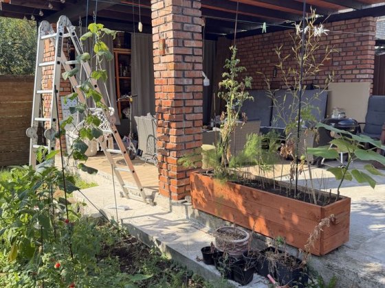 Оренда будинку Бачинського Ужгород