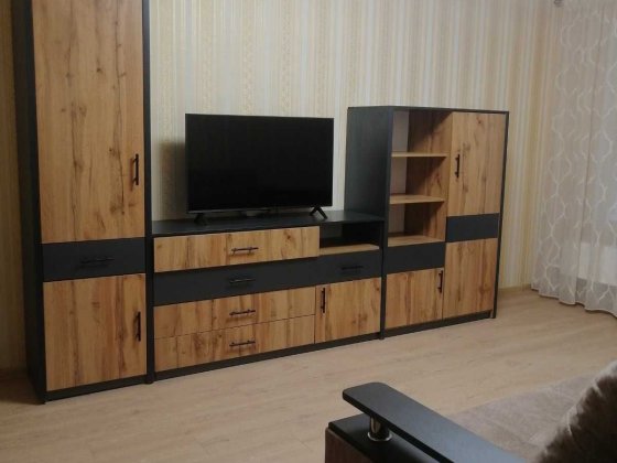 Здається  1 кімнатна квартира на Троєщині