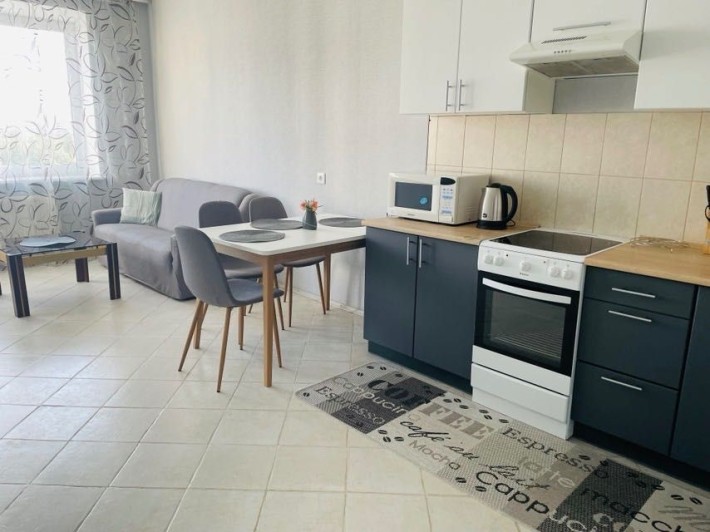 Оренда 1 кімн. квартири м. Академмістечко  (5-7хв пішки), м. Житомирська вул Ірпінська - фото 1