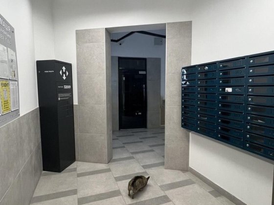 Довгострокова оренда квартири